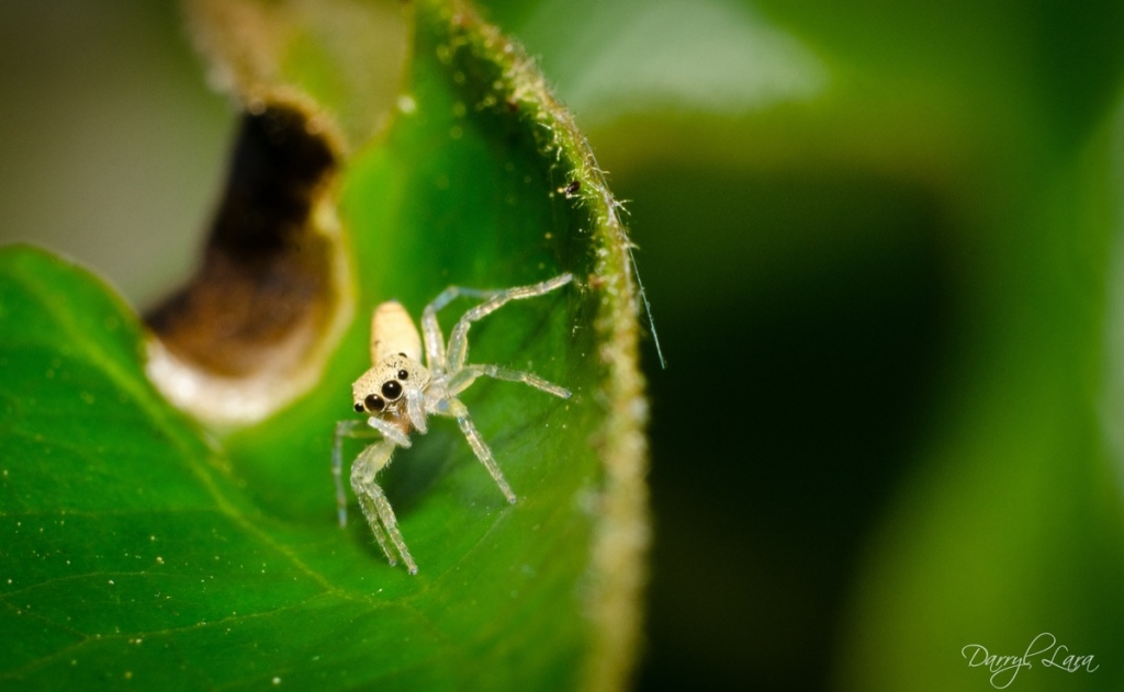 Combining ambient light with the flash can create a cool effect…