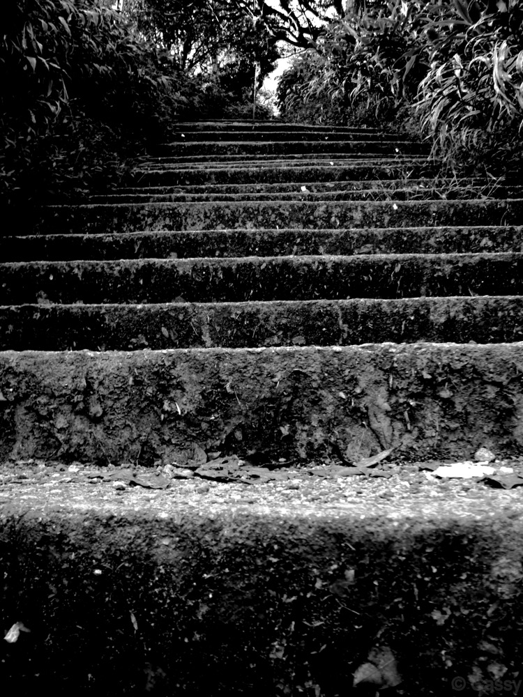 Steps at Adam’s peak