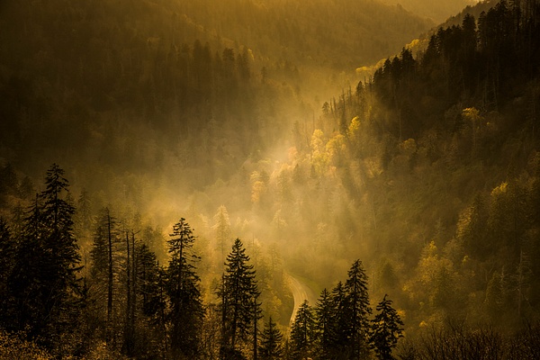 Morton Overlook light