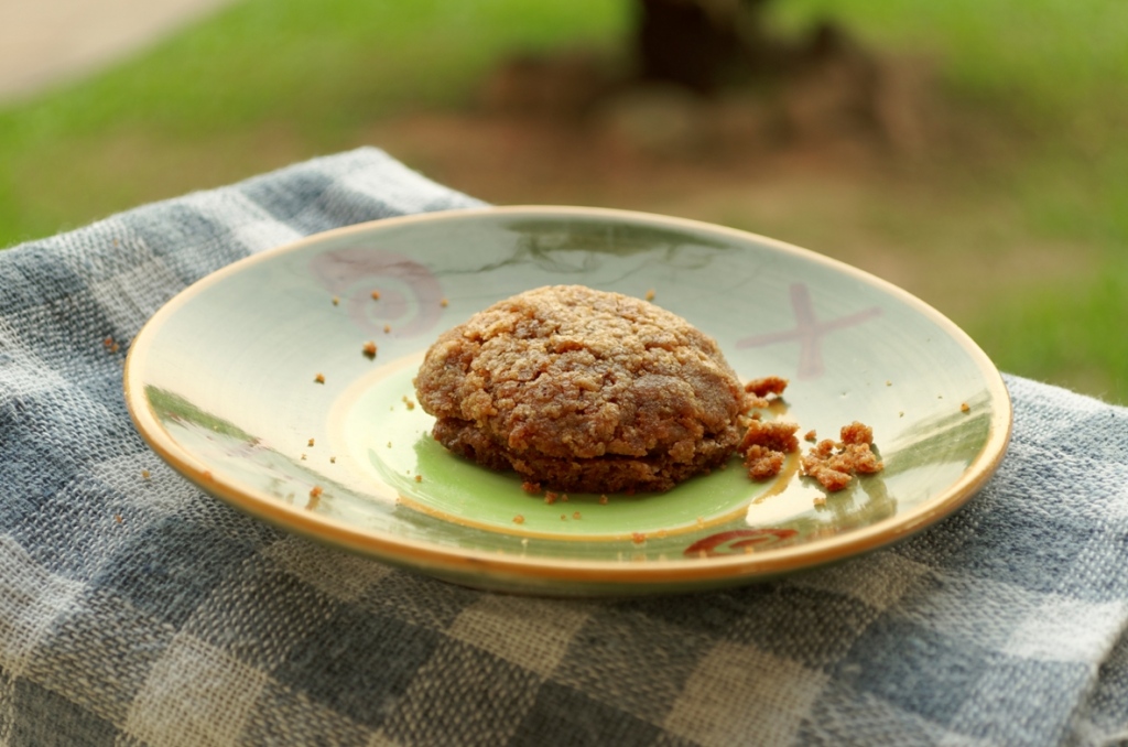 Homemade ginger cookie