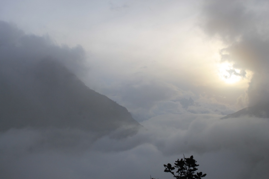 In regards to Landscape Photography: This represents the eeriness of walking through a cloud forest at sun rise 