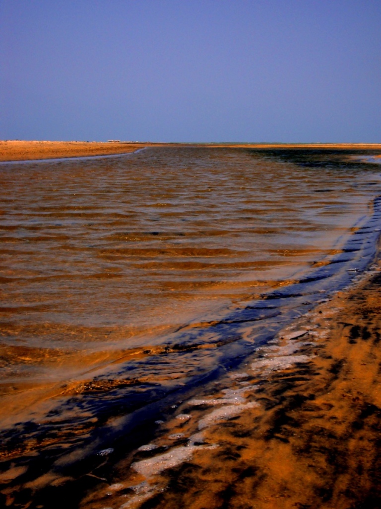 Long shoreline