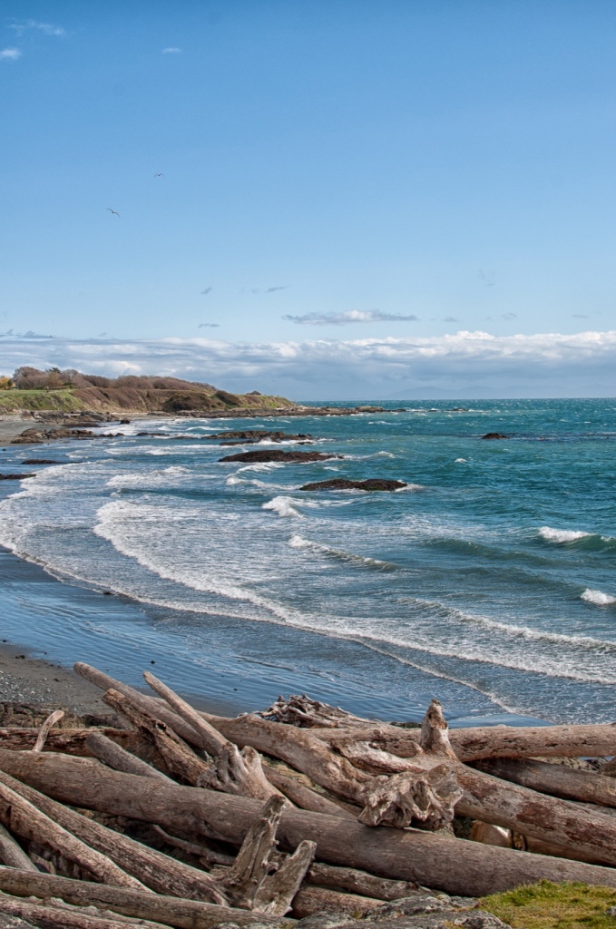 Breakwater beach: The 35mm absolutely helped seal in all the details. This lens is handy for your wide angle shots.