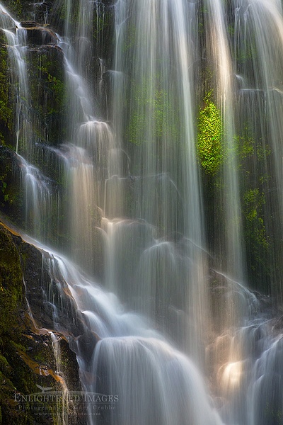 Berry Creek Falls