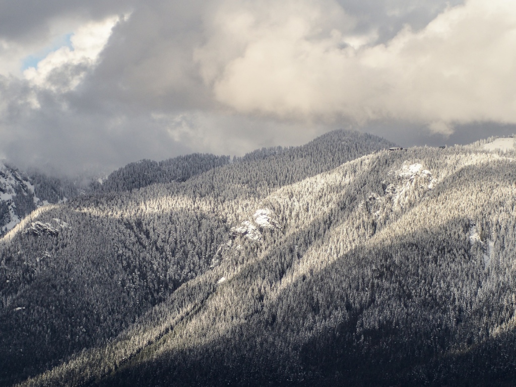 I shot this distant subject at 200mm. Even at this distance, make sure that the image is crisp and sharp.