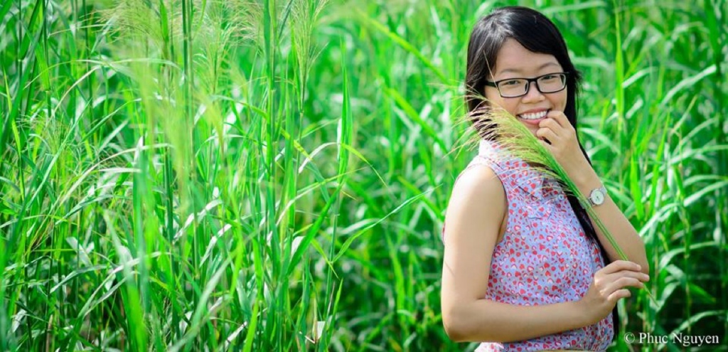 Vast hardy sugar cane field suitable for natural concept